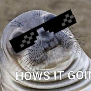 Meet your Posher, Con